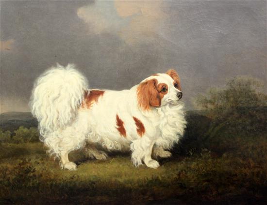 Henry Bernard Chalon (1770-1849) Portrait of a King Charles Spaniel standing in a landscape 27.5 x 35in.